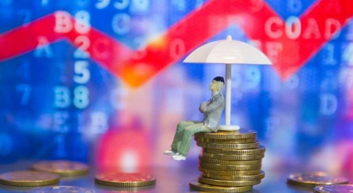 Should Suspend Fund Investments Amid Stock Plunge, Gold Surge, and Rate Hike Fears?